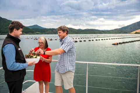 Havelock et Marlborough Sounds : croisière aux moules vertes