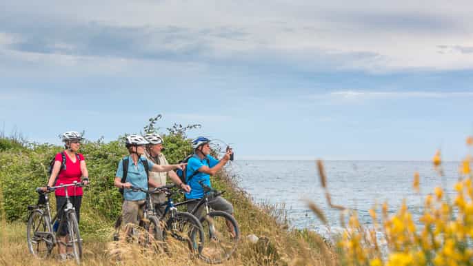 cape kamenjak half–day wine tasting bike tour