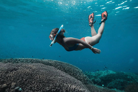 Nusa Penida: Snorkeling Adventure with Manta Rays Private Snorkeling With Hotel Transfer Nusa Penida Area