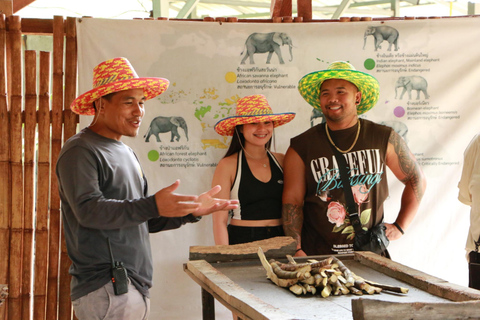 Phuket: Półdniowa wycieczka do sanktuarium słoni z lunchemPółdniowa wycieczka z lunchem (transport z hotelu w cenie)