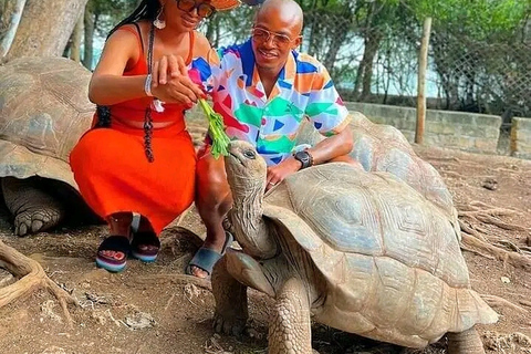 Zanzibar: Excursão a pé guiada pelo histórico de Stone Town.Zanzibar: excursão a pé histórica e de comida de rua na cidade de pedra