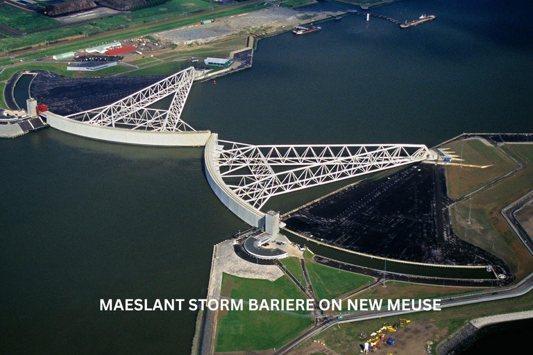 Tour giornaliero a piedi e in barca di Rotterdam e Kinderdijk