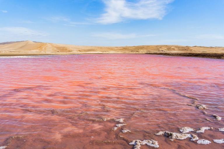 From Paracas: Private Tour to Laguna Rosada, Red Beach and La Catedral Option with direct arrival at the meeting point