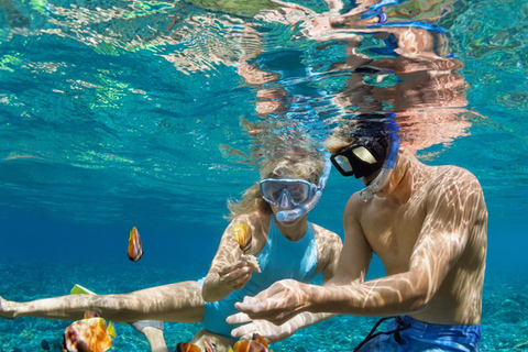 Excursão à ilha Dimaniyat com mergulho com snorkel