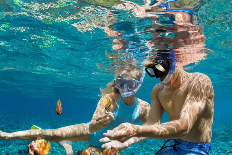 Tour dell&#039;isola di Dimaniyat con snorkeling