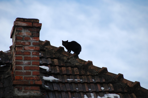 The Medieval Brașov, Legends, Remedies & Folklore Creatures