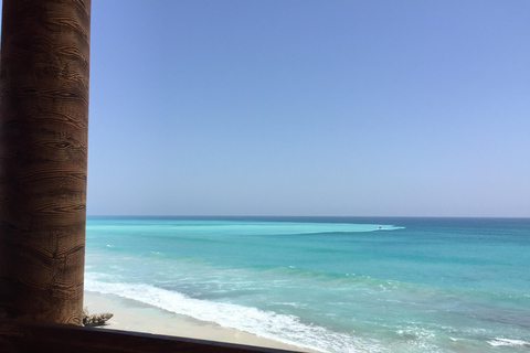 塞拉莱：乳香之路、骆驼农场和海滩之旅