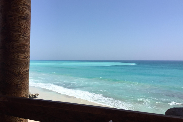 塞拉莱：乳香之路、骆驼农场和海滩之旅