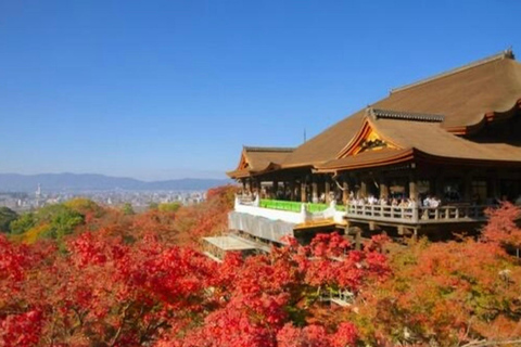 Kyoto Bus Tour: Fushimi, Kiyomizu, Kinkaku-ji & Arashiyama