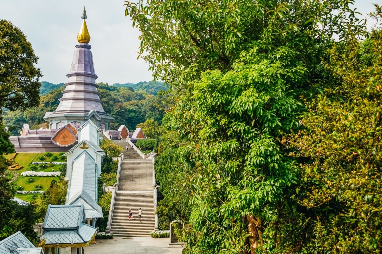 Doi Inthanon National Park Small Group Full Day Tour Private Tour with Entrance Included
