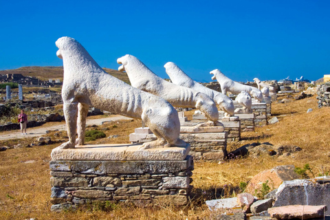 Från Mykonos: Delos arkeologiska plats guidad kvällsturTurné på engelska