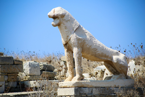 Från Mykonos: Delos arkeologiska plats guidad kvällsturTurné på engelska