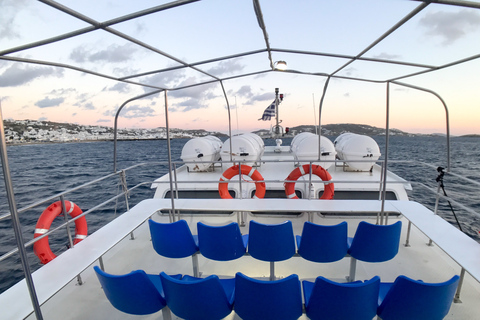 From the Cruise Ship Port: The Original Delos Guided Tour Tour in English