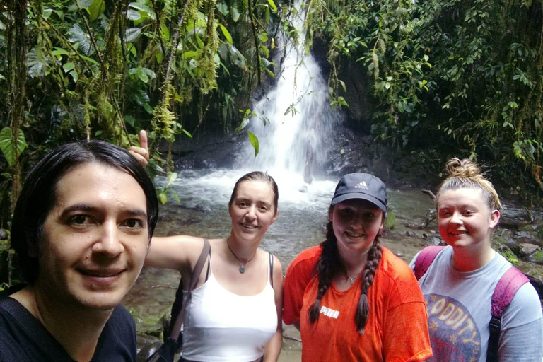 From Quito: Mindo Cloud Forest Day Trip with Zipline