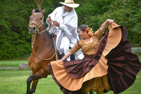 Trujillo : Marinera-Show mit peruanischen Paso-Pferden