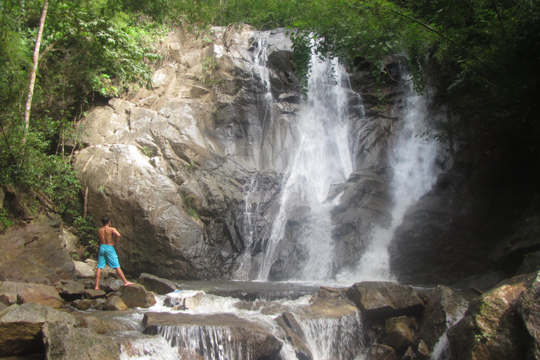 Chiang Mai: Elefanti, cascate e rafting in acque bianche
