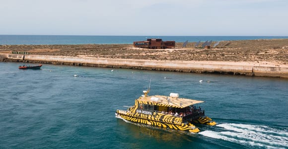 From Faro: Catamaran Boat Trip to Deserta Island