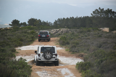 Porto Vecchio: Passeio de 4x4 pela Floresta Ospedale e Agulhas de Bavella