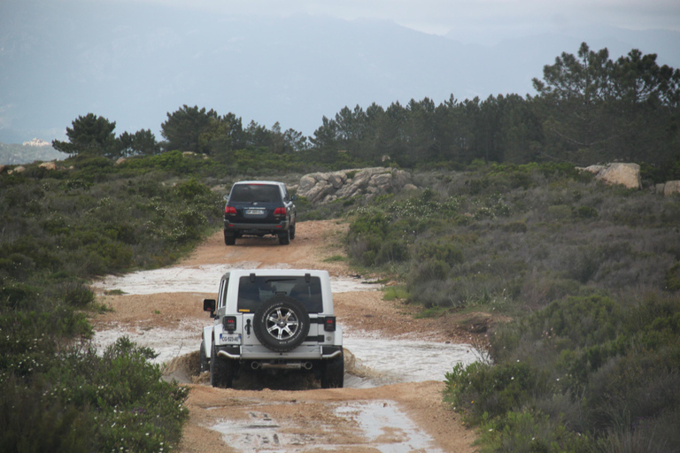 Porto Vecchio: 4x4-tur i Ospedale-skogen och Bavella Needles