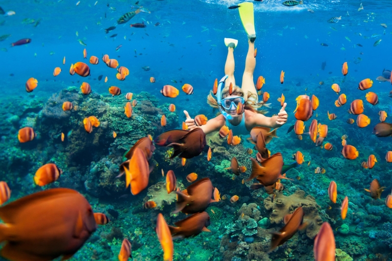 Punta Cana: rejs katamaranem i nurkowanie z rurkąPóźny rejs katamaranem i nurkowanie z rurką