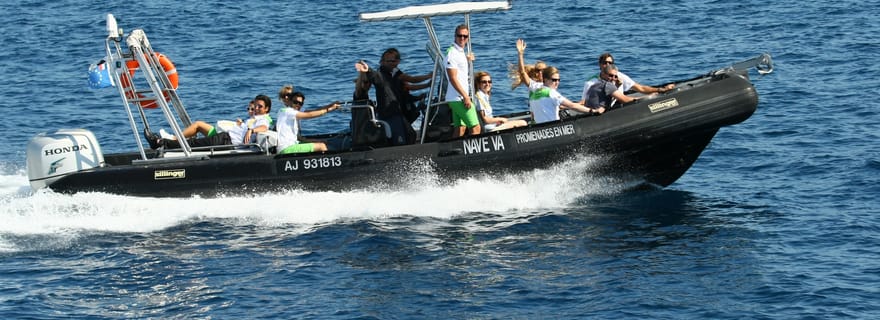 Depuis Porto : Tour en bateau de Scandola et Calanche de Piana