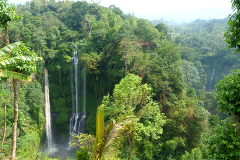 Depuis Bali : excursion privée aux cascades de SekumpulDepuis Bali : excursion privée aux chutes de Sekumpul