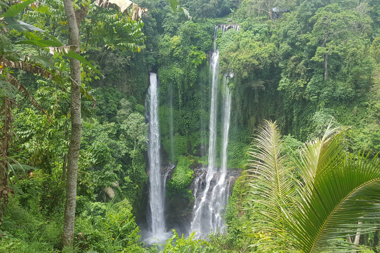 Depuis Bali : excursion privée aux cascades de SekumpulDepuis Bali : excursion privée aux chutes de Sekumpul