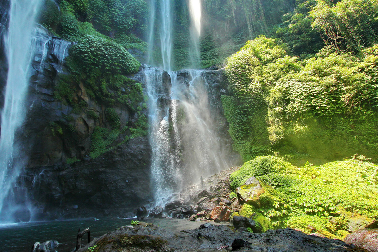 Depuis Bali : excursion privée aux cascades de SekumpulDepuis Bali : excursion privée aux chutes de Sekumpul