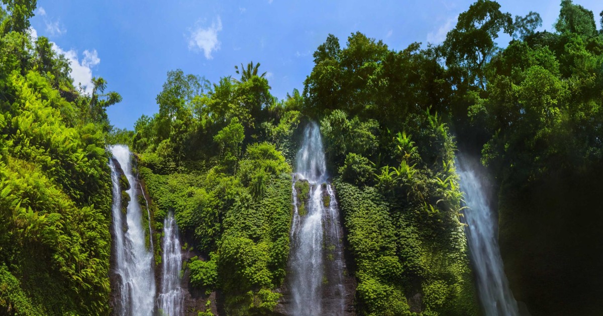 Private Sekumpul Waterfall Hiking Tour | GetYourGuide