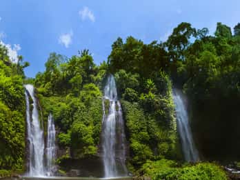 Private Sekumpul Waterfall Hiking Tour