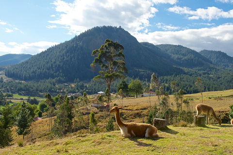 Cajamarca : Granja Porcón y Otuzco