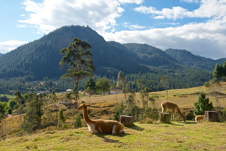 Cajamarca : Granja Porcón y Otuzco