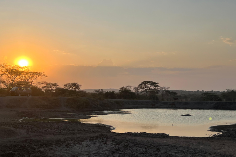 Entebbe: Nationaal Park Lake Mburo, Equator Tour &amp; Rondvaart