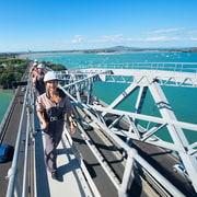Auckland Harbor Bridge: Bridge Climb