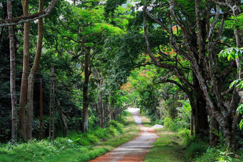 Desde Hanoi: Tour de 2 días por el Parque Nacional Ninh Binh y Cuc Phuong