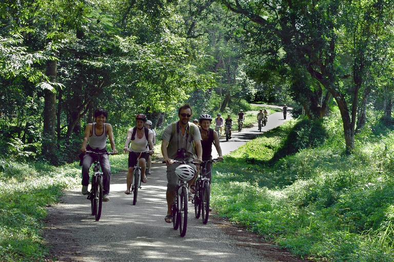 Private Day Tour: Cuc Phuong National Park from Hanoi