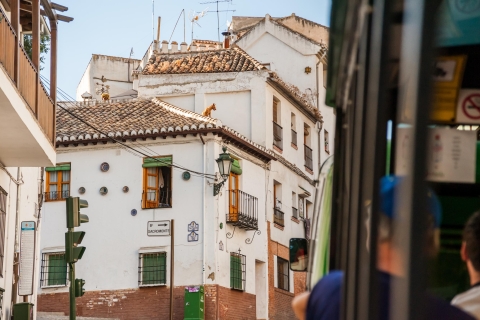 Granada City Train 1 ou 2 jours billets Hop-On Hop-OffBillet pour 1 trajet