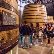 Porto: Passeio no Trem Mágico e Degustação de Vinho do Porto