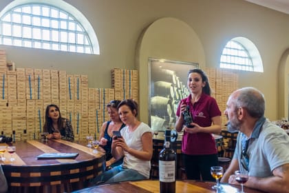 Porto: Magic Train Tour And Port Wine Tastings | GetYourGuide