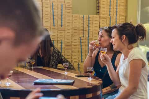 Porto: Magic Train Tour and Port Wine Tastings