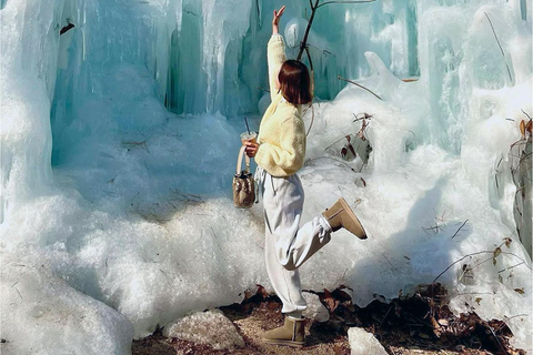 Seúl: Excursión de invierno en Pocheon con recogida de fresasSalida desde la estación Dongdaemun History&amp;Culture Park, salida 10.