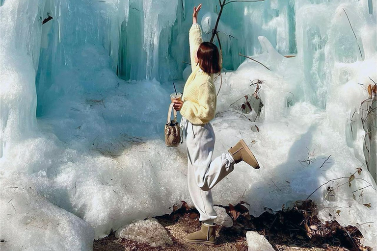 Seúl: Excursión de invierno en Pocheon con recogida de fresasSalida desde la estación Dongdaemun History&amp;Culture Park, salida 10.