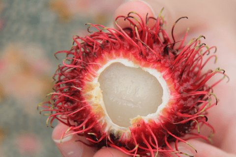 Vietnamese Food Tour with Local Guide