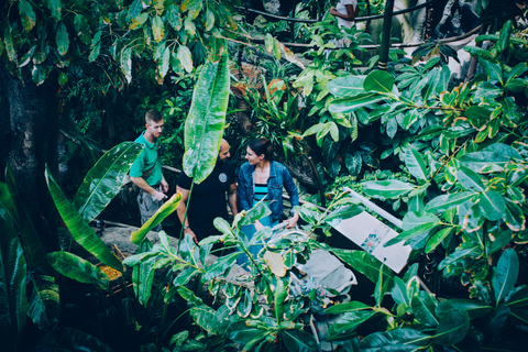 The Green Planet - A Floresta Tropical Coberta de Dubai