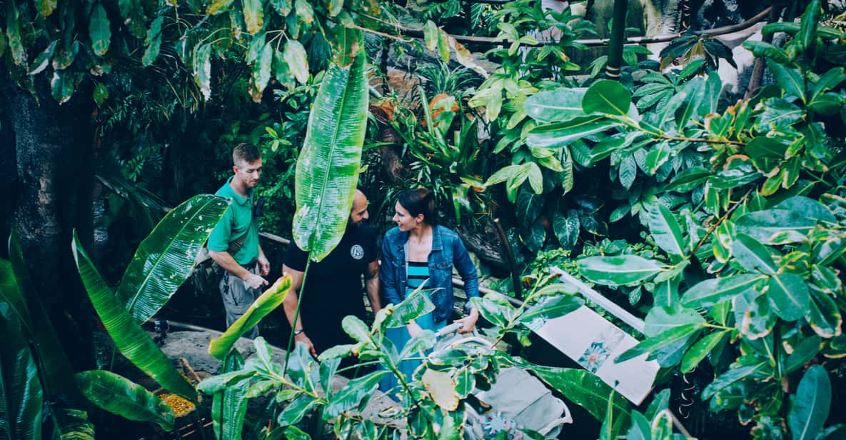 The Green Planet - Dubais einzigartiger Indoor-Regenwald