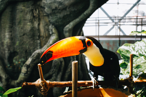 The Green Planet - Dubai's Unique Indoor Rainforest