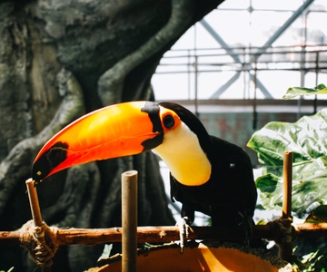 The Green Planet - Dubai's Unique Indoor Rainforest