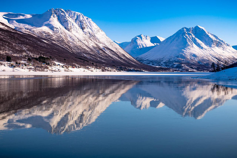 特罗姆瑟峡湾巡游——在索马罗伊岛停留峡湾巡游特罗姆瑟——途经索马罗伊岛