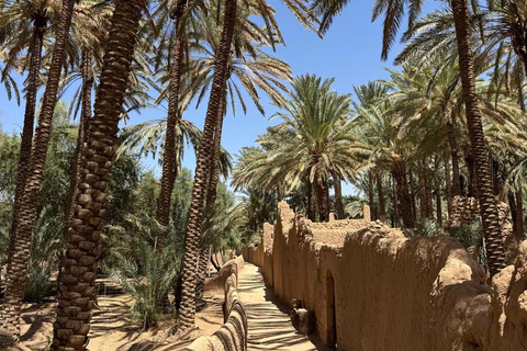 Al Ula: Full-Day Tour by Private SUV Car