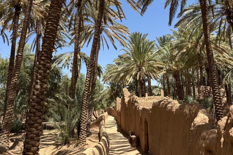Al Ula: Full-Day Tour by Private SUV Car